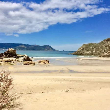 Covas Seabreeze * Viveiro