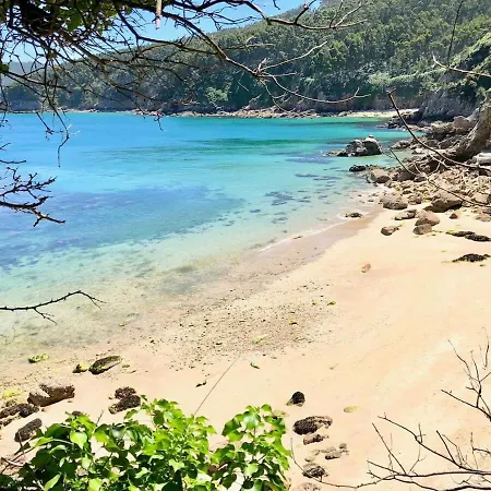 Alpehytte Covas Seabreeze Viveiro