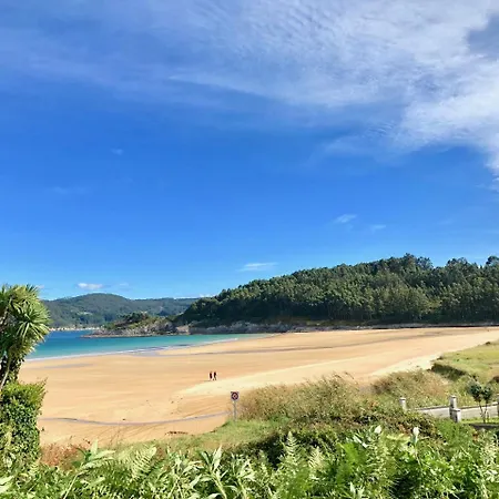 Covas Seabreeze * Viveiro